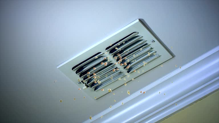 Affordable HVAC Duct Cleaning in IA
