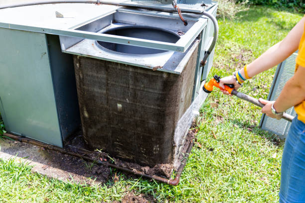 Best Ductwork Cleaning Services  in Clive, IA